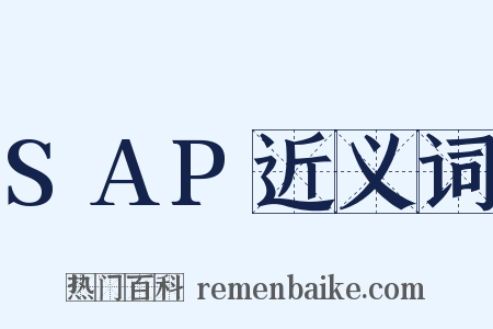 SAP近义词是什么意思的图片
